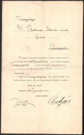 1908 MÁV Mozdonyfűtők Ls Fűtőházi Munkások Koszorú- és Zászlótársulata Dísztaggá Választó Okmánya Dr. Rottman Elemér Főo - Non Classés