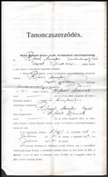 1919 Weiss Mandréd Lőszer, Acél és Fémművek: Tanoncszerződés - Unclassified