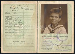 1931-1933 Magyar Királyság Fényképes útlevele Szilágycsehi Születésű Tanuló Részére, Bejegyzésekkel - Non Classés