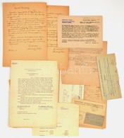 1946-1949 Vegyes Okmány Gyűjtemény, Közte A Budapesti Igazoló Bizottsággal Kapcsolatos Papírok, Okmányok, Ugyanazon Szem - Ohne Zuordnung