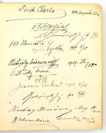 1908-1913 Ipoly-Pinc Látogató/emlékkönyvecske, évszámok Szerinti Névbejegyzésekkel. Egészbőr-kötésben, Sérült, Rossz áll - Ohne Zuordnung