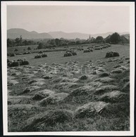 Cca 1936 Kinszki Imre (1901-1945) Budapesti Fotóművész Jelzés Nélküli, Vintage Fotója (Mezőgazdasági Táj), 6x6 Cm - Otros & Sin Clasificación