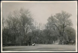 1928 Kinszki Imre (1901-1945) Budapesti Fotóművész Jelzés Nélküli, De általa Feliratozott, Vintage Fotója (Városliget, E - Sonstige & Ohne Zuordnung