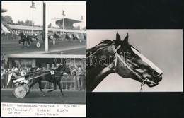 3 Db Versenylovakról, Lóversenyeken Készült Fotó (Imperiál, City), 9×15 és 18×13 Cm - Sonstige & Ohne Zuordnung
