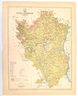 1893 Fejér Vármegye Térképe, Tervezte: Gönczy Pál, Pallas Nagy Lexikona, Bp., Posner, 30x24 Cm - Other & Unclassified
