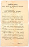 1869 Hirdetmény Pest Főváros Telekkönyvezése Tárgyában Két Nyelven. 42x34 Cm - Unclassified