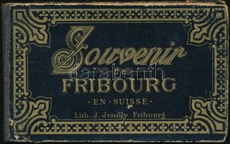 Cca 1890 Fribourg Leporello, Lapok Kijárnak, 8×12 Cm - Sin Clasificación