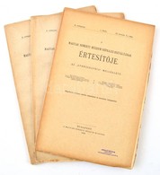 1909 A Magyar Nemzeti Múzeum Néprajzi Osztályának Értesítője Az "Ethnographia" Melléklete. [Néprajzi Értesítő.] X. évf.  - Unclassified