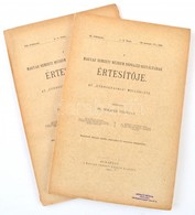 1907-1908 A Magyar Nemzeti Múzeum Néprajzi Osztályának Értesítője Az "Ethnographia" Melléklete. [Néprajzi Értesítő.] IX. - Unclassified