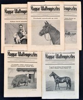 1947 Magyar Állattenyésztés VII. évf. 3-7. Számai. 1947. Feb 1., 15., Márc 1., 15., április 1. - Ohne Zuordnung