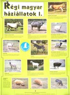 Cca 1970-1990 11 Db Plakát, Főként Természetvédelmi Témában, Különböző Méretben - Other & Unclassified