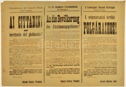1921 A Népszavazási Terület átadása. ... Ferrario Tábornok, A Szövetségközi Tábornoki Bizottság Elnök által Kiadott Háro - Other & Unclassified