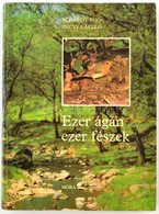 Schmidt Egon-Bécsy László: Ezer ágán, Ezer Fészek. Bp.,1981.,Móra. Kiadói Kartonált Papírkötés. - Unclassified