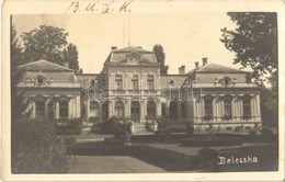 T2/T3 1932 Belecska, Mechwart Kastély. Photo (EK) - Ohne Zuordnung