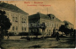 * T2/T3 1907 Beszterce, Bistritz, Bistrita; Forstdirektion / Erdőigazgatóság. W. L. (?) No. 389. Kiadja M. Haupt / Fores - Ohne Zuordnung