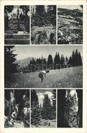 T2 1943 Borszék, Borsec; Borszékfürdői Részletek, Mozaiklap / Multi-view Postcard - Non Classés