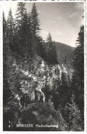 T2/T3 1941 Borszék, Borsec; Medvebarlang / Grota Ursilor / Grotto, Cave (EK) - Unclassified
