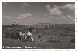 ** T1 Csíkszentdomokos, Sandominic; Garados Tető / Mountain, Hill, Folklore - Ohne Zuordnung