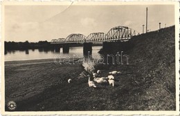 T2/T3 1939 Lippa, Lipova; Maros Híd. Libraria Romaneasca Crisan / Mures River Bridge (gyűrődés / Crease) - Ohne Zuordnung