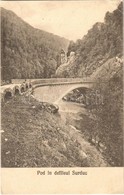 ** T2/T3 Petrozsény, Petrosani; Híd A Szurduki Szorosban / Pod In Defileul Surduc / Mountain Pass, Surduc Gorge, Bridge. - Ohne Zuordnung