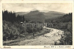 T2 Havasalja, Tybava; Hoverla, Studeni Patak / Creek - Unclassified