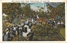 T2/T3 1927 St. Louis, Shaws Garden, Interior Green House (EK) - Ohne Zuordnung