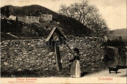 T2 1913 Frohnleiten, Schloss Rabenstein. Verlag V. Jos. Höfler / Castle - Ohne Zuordnung