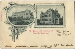 * T2/T3 Graz, Kreuzgasse, Dr. Börner's Privatheilanstalt / Spa Sanatorium. Art Nouveau, Floral (Rb) - Ohne Zuordnung
