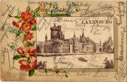T2/T3 1900 Laxenburg, Schloss / Castle. Art Nouveau, Floral, Litho  (EK) - Ohne Zuordnung
