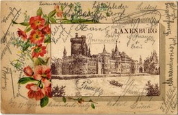 T2/T3 1900 Laxenburg, Schloss / Castle. Art Nouveau, Floral, Litho  (EK) - Sin Clasificación