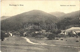 T2/T3 1924 Stattegg, (Graz), Gasthaus Zum Auerhahn / General View, So. Stpl - Ohne Zuordnung