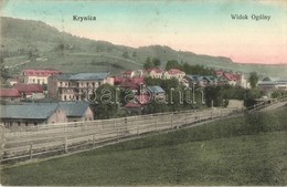 T2/T3 Krynica, Widok Ogólny. Nakladem Józefa Rednera / General View, Railway Tracks (EK) - Non Classés