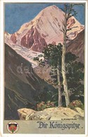 ** T1 Gran Zebru, Königspitze (Südtirol). Deutscher Schulverein Karte Nr. 515. S: E. Schaffran - Ohne Zuordnung