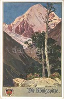 ** T1 Gran Zebru, Königspitze (Südtirol). Deutscher Schulverein Karte Nr. 515. S: E. Schaffran - Sin Clasificación