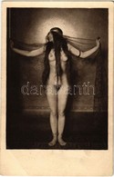 ** T2/T3 Erotic Nude Lady. Phot. Schieberth A. 17. (EB) - Ohne Zuordnung