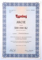 Csehország 1995. "Eggenberg" Sörgyár Részvénye 500.000K-ról T:I Czech Republic 1995. "Eggenberg" Brewery Share About 500 - Ohne Zuordnung