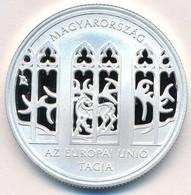 2004. 5000Ft Ag "Magyarország Az Európai Unió Tagja" T:PP Adamo EM190 - Ohne Zuordnung