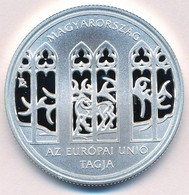 2004. 5000Ft Ag "Magyarország Az Európai Unió Tagja" Kapszulában T:PP Adamo EM190 - Ohne Zuordnung