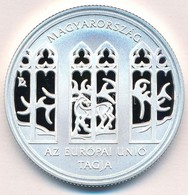 2004. 5000Ft Ag "Magyarország Az Európai Unió Tagja" T:PP Adamo EM190 - Ohne Zuordnung
