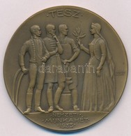 Berán Lajos (1882-1943) 1933. "TESZ-Nemzeti Munkahét" Kétoldalas Br Emlékérem (60mm) T:1 HPII-232. - Ohne Zuordnung