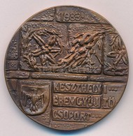 Peternák Gusztáv (1928-) 1983. "Keszthelyi Éremgyűjtő Csoport / Sümeg Vára XVII. SZD." Br Emlékérem (50mm) T:2 Adamo KE2 - Ohne Zuordnung