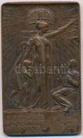 Telcs Ede (1872-1948) 1905. "VII. Nemzetközi Büntetés-végrehajtási Kongresszus / Budapest" Br Plakett (82x50mm) T:2,2- H - Ohne Zuordnung