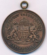 Sződy Szilárd (1878-1939) DN "Budapest Székesfőváros Versenydíja" Bronzozott Fém Díjérem Mellszalag Nélkül, Füllel (41mm - Sin Clasificación