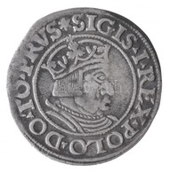 Lengyel Királyság / Danzig 1535. 1Gr Ag "I. Zsigmond" (1,76g) T:2 / Poland / Danzig 1535. 1 Grossus Ag "Sigismund I" (1, - Ohne Zuordnung