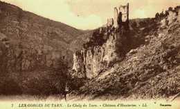 48    Lozere   Les Gorges Du Tarn    Château D'Hauterive - Other & Unclassified