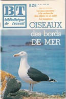 Bibliothèque De Travail, N° 828, Oiseaux Des Bords De Mer 1976 , Vignettes à Découper Et à Coller - 6-12 Años