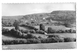 QUARRE LES TOMBES (89) Vue Sur Trinquelin - Quarre Les Tombes