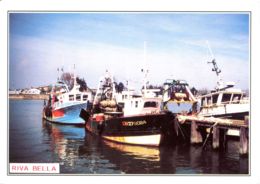 N°4341 T -cpsm Ouistreham Riva Bella -le Port De Pêche- - Ouistreham