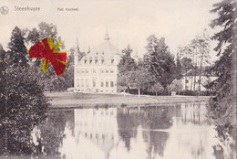 STEENHUYZE - Het Kasteel - Belle Carte Circulé En 1908 - Herzele