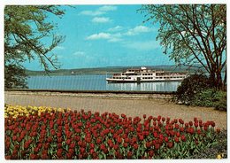 Motiv, Bodensee - Fähre - Ferries